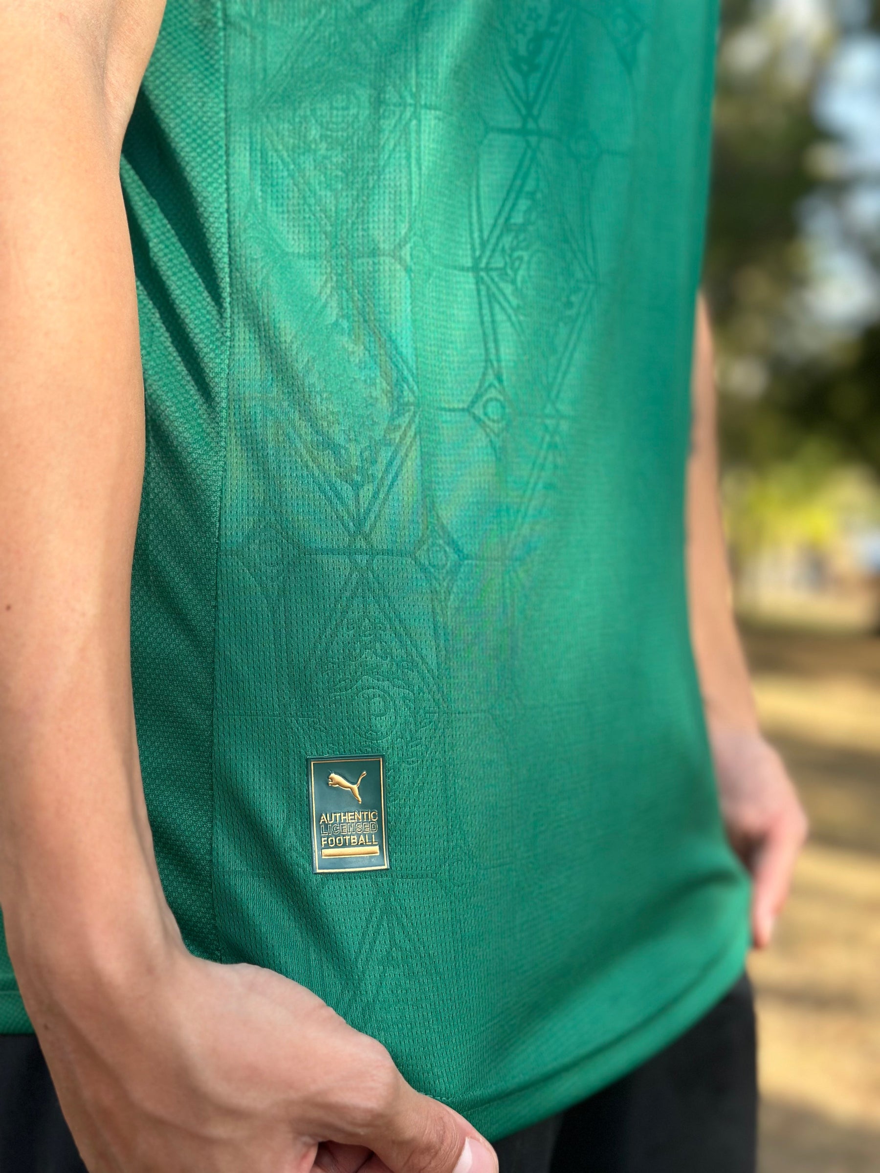 Camisa Puma Palmeiras I 2025