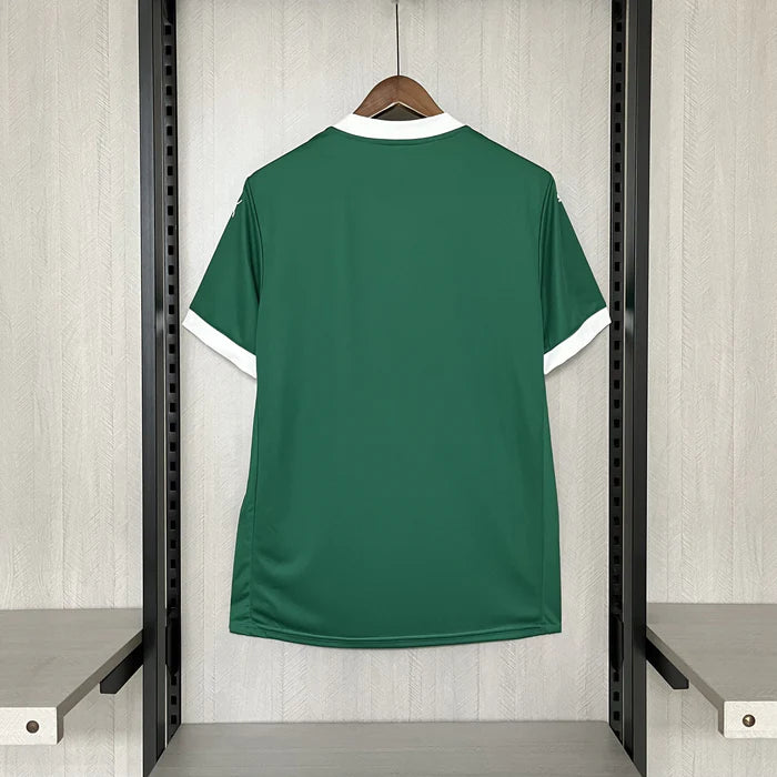 Camisa Puma Palmeiras I 2025