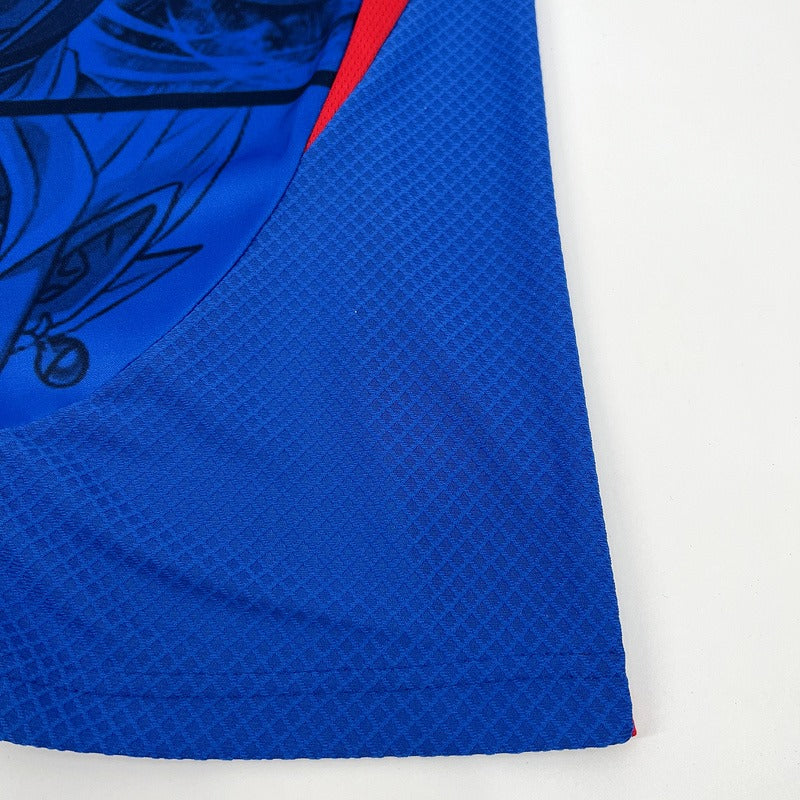 Camisa do Japao 24/25 Edição Dragon Ball