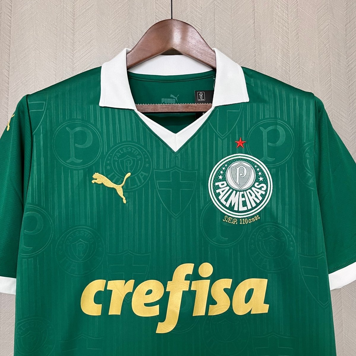 Camisa Palmeiras I 24/25 Puma - Garcêz Sports