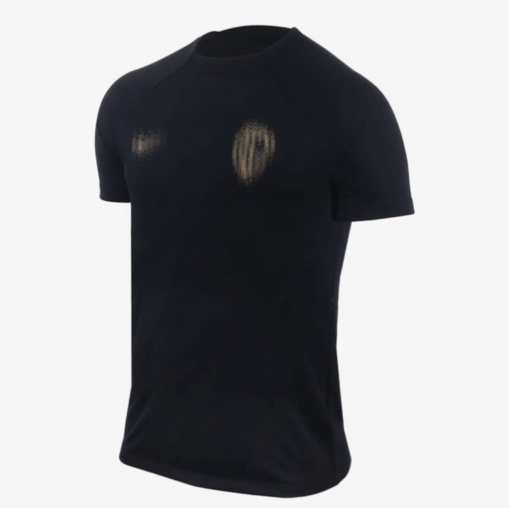 Camiseta Nike Corinthians Academy Pro Masculina - Garcêz Sports